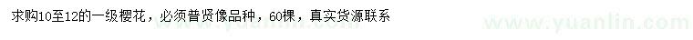 求購10-12公分普賢像櫻花