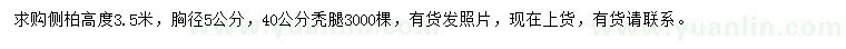 求購(gòu)胸徑5公分側(cè)柏