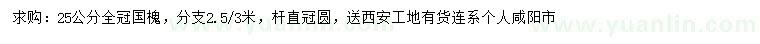 求購25公分國槐