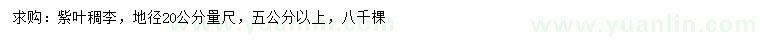 求購20公分量尺5公分以上紫葉稠李