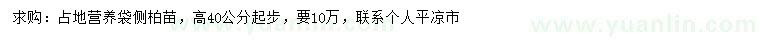 求購高40公分以上側(cè)柏