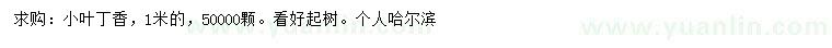 求購(gòu)1米小葉丁香