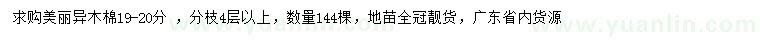 求購19-20公分美麗異木棉