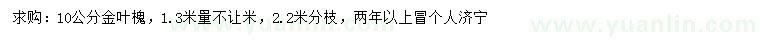 求購(gòu)1.3米量10公分金葉槐