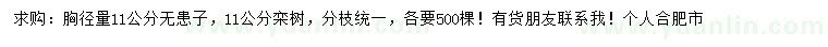 求購胸徑11公分無患子、欒樹