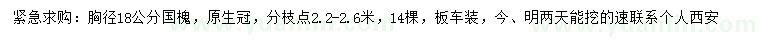 求購胸徑18公分國槐