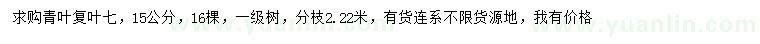 求購15公分青葉復(fù)葉槭