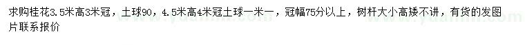 求購高3.5米桂花