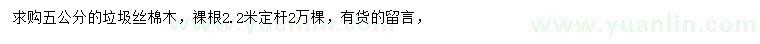 求購5公分絲棉木