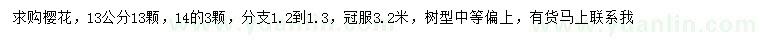 求購13、14公分櫻花