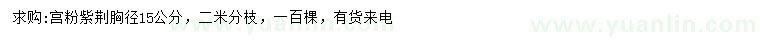 求購胸徑15公分宮粉紫荊