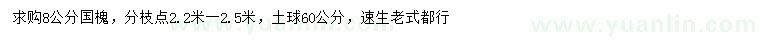 求購8公分國槐