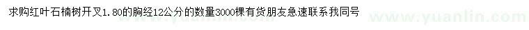 求購胸徑12公分紅葉石楠