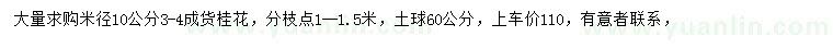 求購米徑10公分桂花