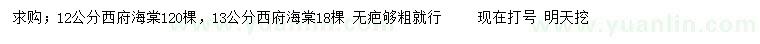 求購(gòu)12、13公分西府海棠