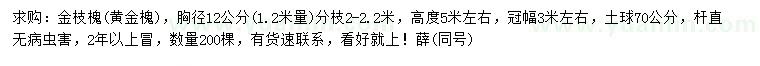 求購胸徑12公分金枝槐、黃金槐