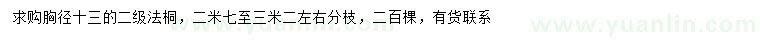 求購胸徑13公分法桐