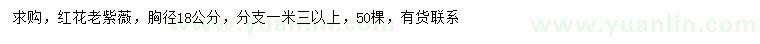 求購胸徑18公分紅花老紫薇