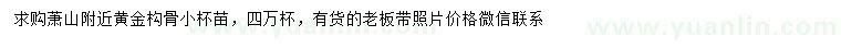 求購黃金構(gòu)骨小苗