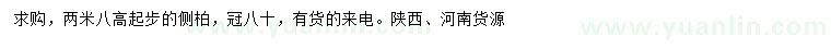 求購高2.8米側(cè)柏