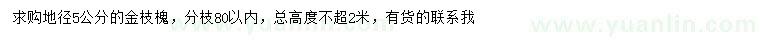 求購地徑5公分金枝槐