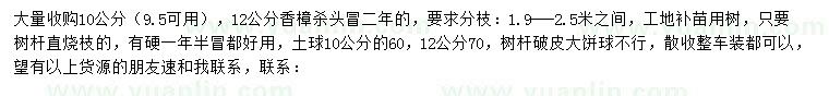 求購10、12公分香樟