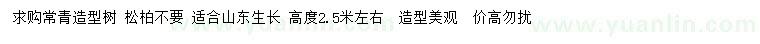 求購高2.5米左右常青造型樹