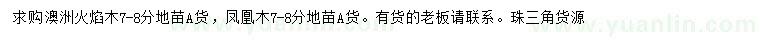 求購7-8公分澳洲火焰木、鳳凰木
