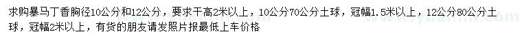 求購胸徑10、12公分暴馬丁香