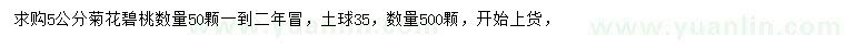 求購5公分菊花碧桃