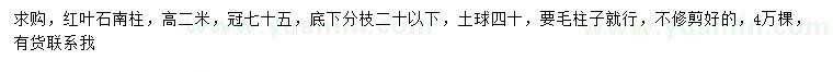 求購(gòu)冠幅75公分紅葉石南柱