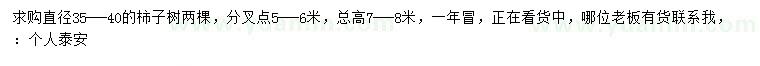 求購直徑35-40公分柿子樹