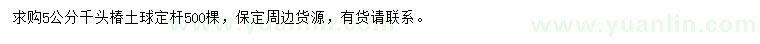 求購5公分千頭椿