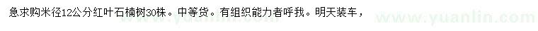 求購米徑12公分紅葉石楠