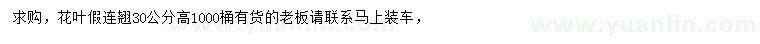 求購高30公分花葉假連翹