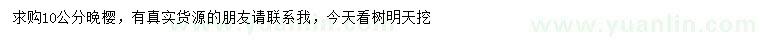 求購(gòu)10公分晚櫻