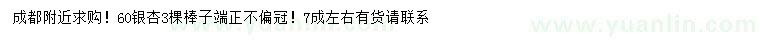 求購(gòu)60公分銀杏