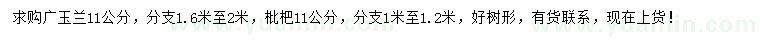 求購11公分廣玉蘭、枇杷