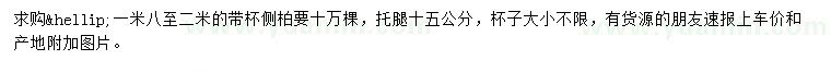 求購1.8-2米側(cè)柏