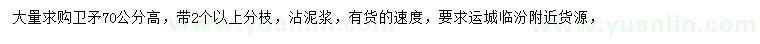 求購高70公分衛(wèi)矛