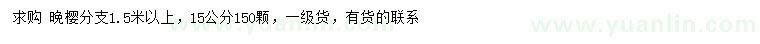 求購15公分晚櫻