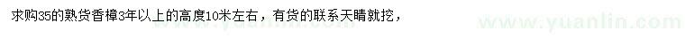 求購高10米左右香樟