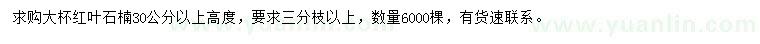 求購高30公分以上紅葉石楠