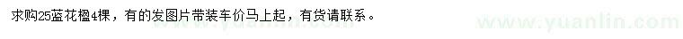 求購藍花楹
