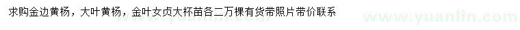求購金邊黃楊、大葉黃楊、金葉女貞