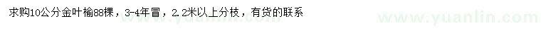求購10公分金葉榆