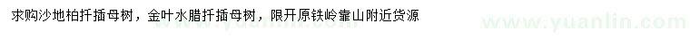 求購沙地柏、金葉水臘