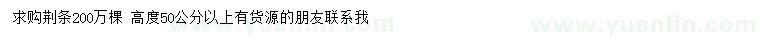 求購高50公分以上荊條