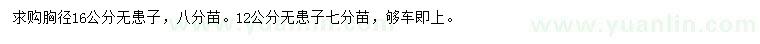 求購(gòu)胸徑12、16公分無(wú)患子