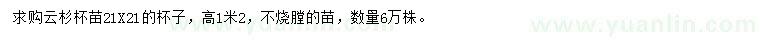 求購高1.2米云杉